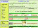 The Galerie de QSL of the Les Nouvelles DX Web site displays an amazing array of Amateur Radio QSL cards.